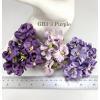 20 Medium Gardenia (1-3/4 or 4cm) Mixed 3 Solid Purple(182/185/188) 