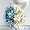  20 Medium Gardenia (1-3/4 or 4cm) Mixed Baby Blue -WHITE