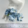 20 Medium Gardenia (1-3/4 or 4cm) Baby Blue