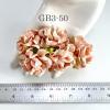  20 Medium Gardenia (1-3/4 or 4cm) Peach Color