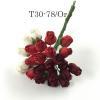 25 Mixed Red Burgundy White Rose Buds (12/15/104)