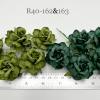 25 Large 2" or 5 cm - Mixed 2 Green Tea Roses (162/163)
