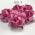 Pink Paper Flowers 1-1/2" or 3.75 cm