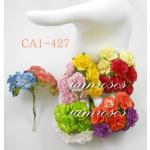 CA1 - 427     50 Mixed All Color Carnation Flowers