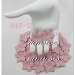 P41 - 2     500 Medium Soft Pink Poinsettia
