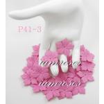 P41 - 3     500 Medium Pink Poinsettia