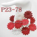 ZQP23 - 78     100 Mixed Red White Medium Daisy Flowers 
