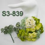 S3 - 839     50 Mixed Green White Color Cherry Blossoms 