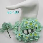 S3 - 166     50 Mint Green Cherry Blossoms 
