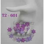 BP / T2 - 601 (500 P)     500 Tiny Mixed Purple Flat Flowers 