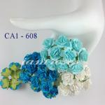 Mixed Turquoise & White Carnation 