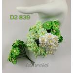 Small Mixed Green White Daisy Flowers