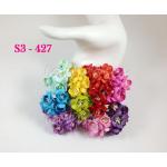 50 Mixed Rainbow Color Cherry Blossoms