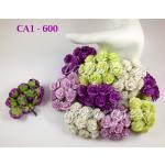 Mixed Purple & Green Carnation