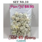 45 Flowers & Leaves - Custom mix and match order - Please contact us.
