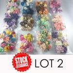 12 Random Mixed Flower Kits - Lot 2