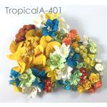 66 DIY Tropical Theme Mixed with Stamen
