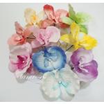  Wild Phalaenopsis Orchids Specail Hand Dyed Variegated Rainbow Crafts Paper Flowers 