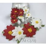 Mixed Big and Small Red White Christmas Poinsettia