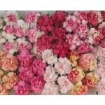 Mixed All Pink Mulberry Small May Roses