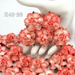  Coral Red Edge Variegated Paper Roses