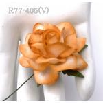 White with Orange Edge Variegated Paper Roses