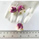 Half White Half Purple Carnation Flowers