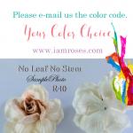  1,000 Paper Flowers - Your Color Choice (Pre Order)