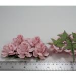 Solid Soft Pink Tea Roses Paper Roses