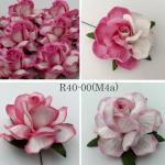  Mixed 4 Pink 2 Tone Paper Roses M4a