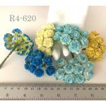  100 Arabian Jasmine (3/4" or 2cm) Mixed Yellow / Turquoise Flowers