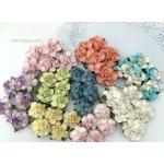 Special Mixed 2 Sizes May Roses Paper Flowers