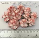 20 Mixed 2 Sizes May Roses Coral Red EDGE (R19&21-99V)