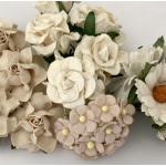 25 Mixed 4 designs Beige Blush White flowers