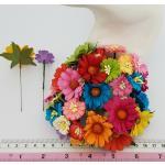  Mixed Rainbow in 2 Sizes of Daisy flowers 