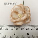  White with Taupe Edge Variegated Paper flower