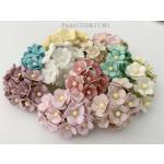 Small 2 sizes Cottage Pastel Special Mixed flowers 