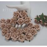Nude Pink Roses Paper flowers