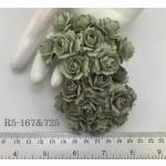  Indian Jasmine (1"or2.5cm) Mixed Dusty / Olive Green