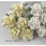 Mixed JUST White and crem MEDIUM Roses Flowers (M)