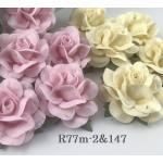 Mixed JUST Soft Pink and Cream MEDIUM Roses Flowers (M)
