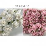 Mixed JUST Soft Pink and WHITE Carnation
