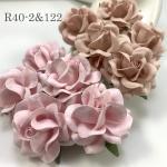 Mixed JUST 2 Pinks Sweet Moon Roses