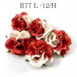 Large 2" Half White - Red Sweet Moon Roses