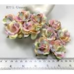  Special Dyed Unicorn Roses 