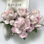  White with SOFT Pink Edge Tea Roses