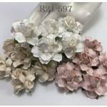 Medium 1.5" Mixed 3 Paper May Roses (15/122/153) Beige / Blush Pink / WHITE