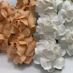   50 Medium 1.5" Mixed JUST White - Solid Peach May Roses