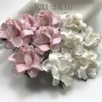 50 Medium 1.5" Mixed JUST Soft Pink and WHITE May Roses