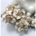 Solid Beige Cream May Roses